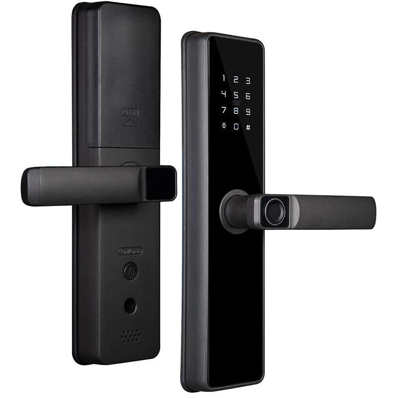 Moes WDL-B2-MS ჭკვიანი Wi-Fi კარის საკეტი