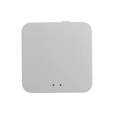 Bingo Wi-Fi Zigbee Hub