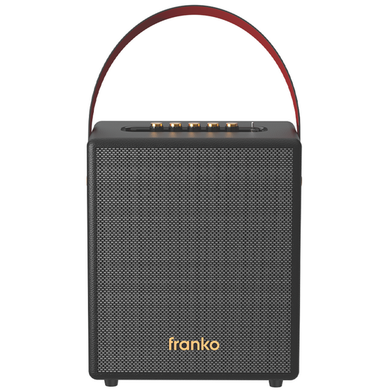 პორტატული დინამიკი FRANKO FSK-9016 (100 W)