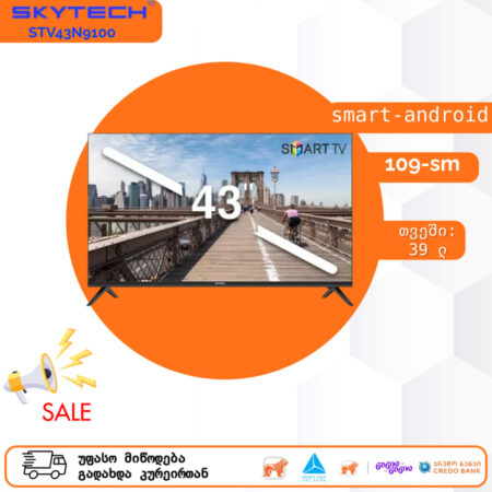 Smart Android ტელევიზორი SkyTech STV43N9100 43 inch (109 სმ)