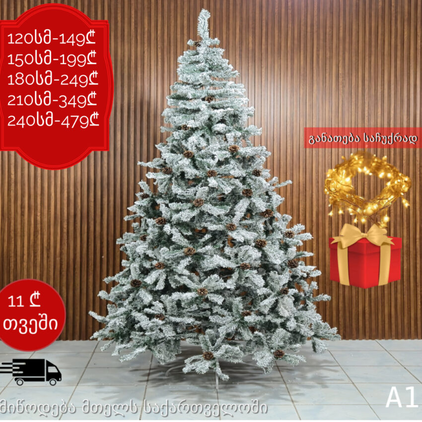ნაძვის ხე A1