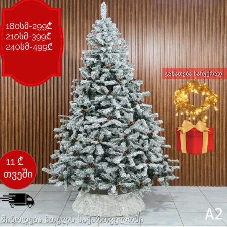 ნაძვის ხე A2