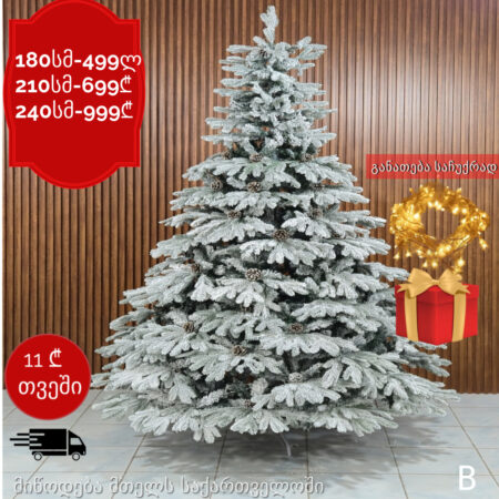 ნაძვის ხე B