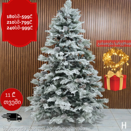 ნაძვის ხე H