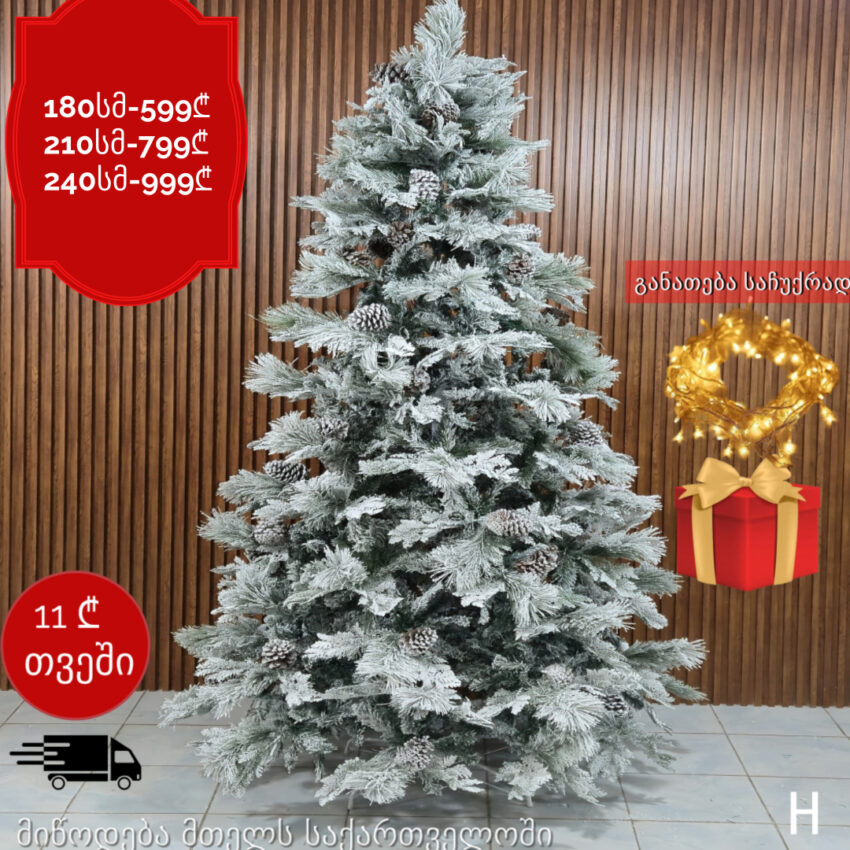 ნაძვის ხე H