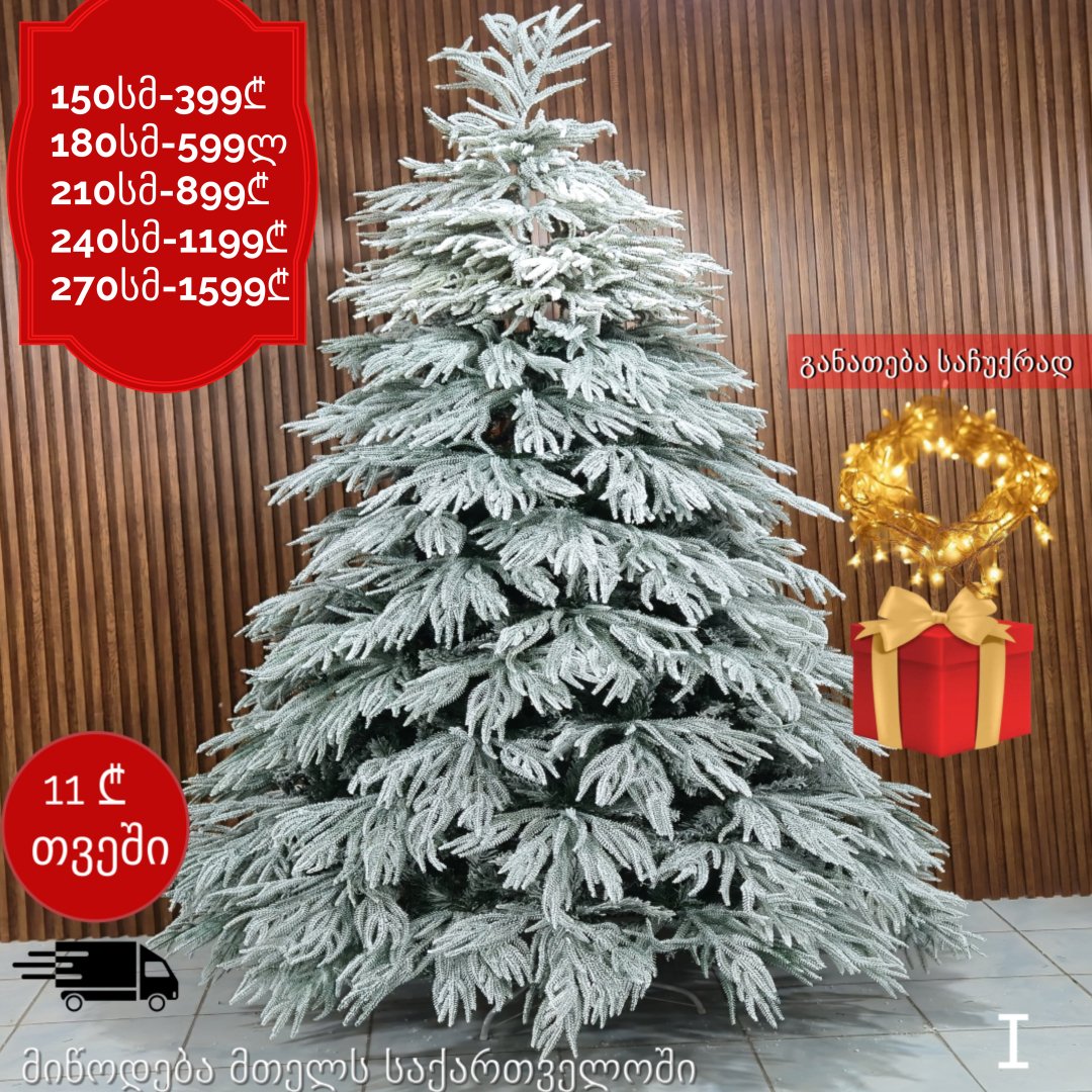 ნაძვის ხე I