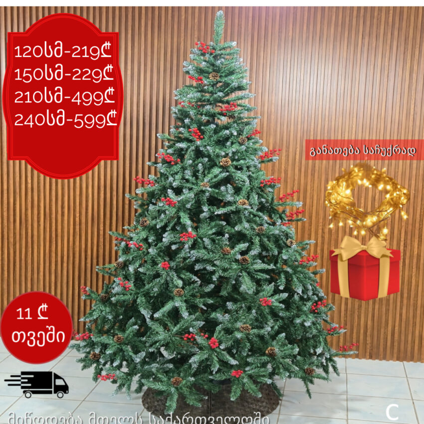 ნაძვის ხე C