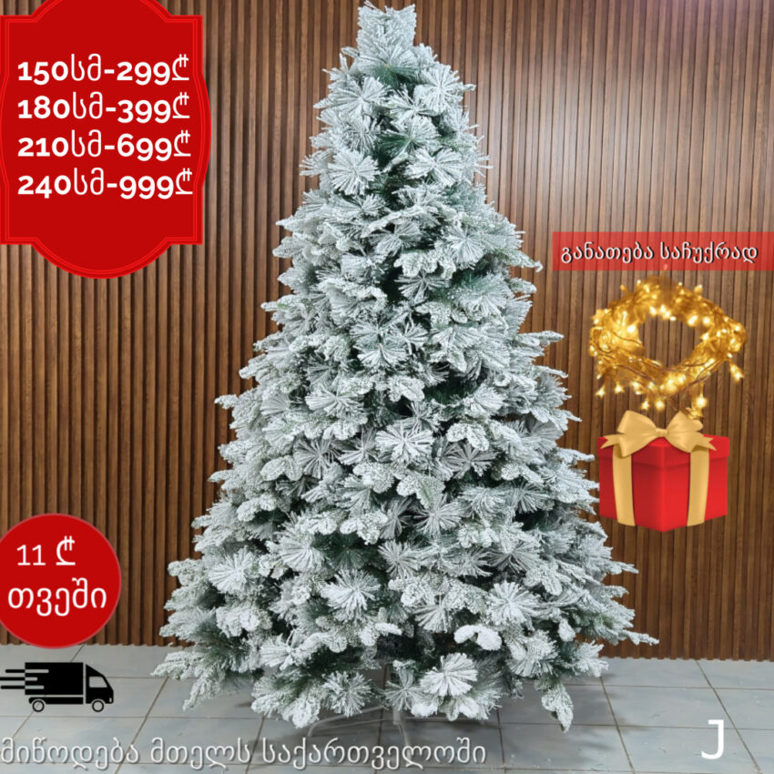 ნაძვის ხე J