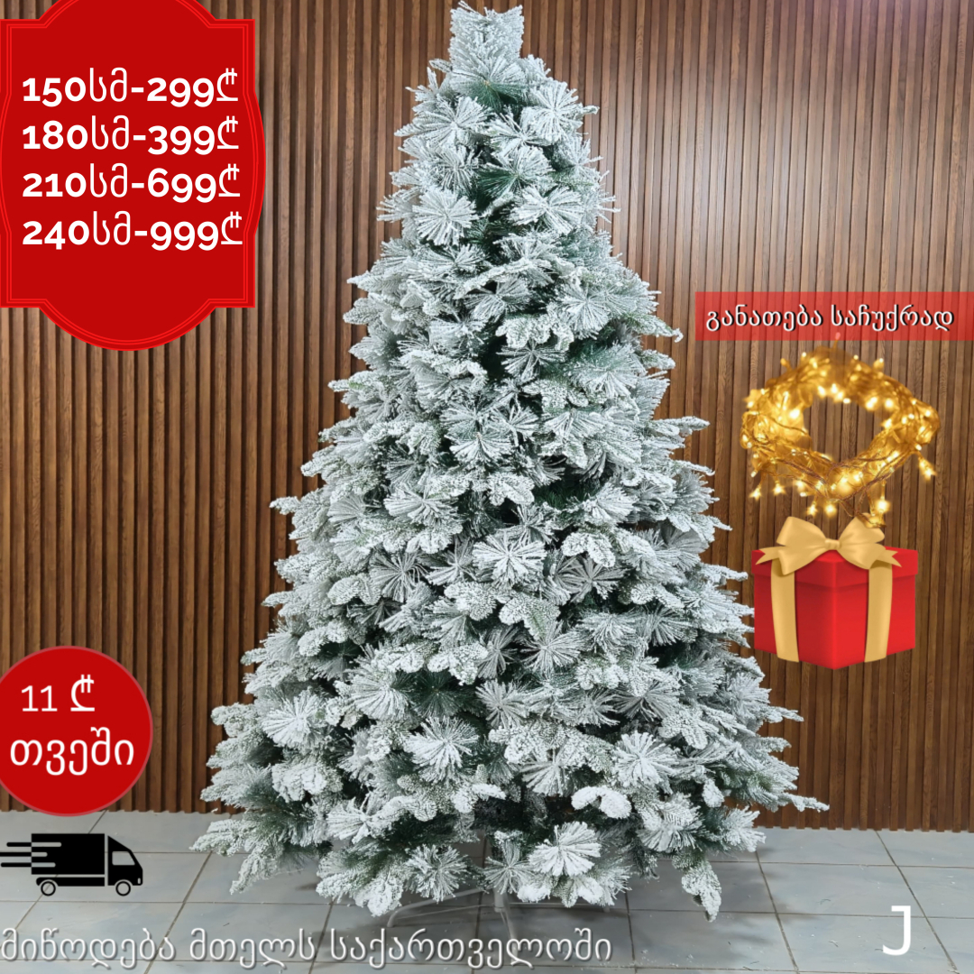 ნაძვის ხე J